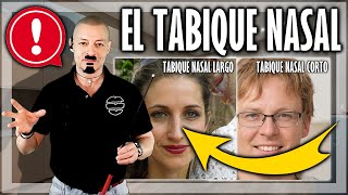 🔴 TABIQUE NASAL BUENO Y MALO  Morfopsicología y Fisiognomía 2023 [upl. by Gabbert]