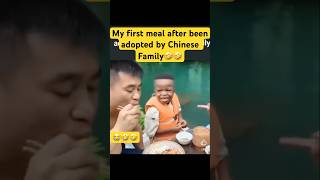 Lfirst Chinese Meal youtubeshorts funny funnycomedy animals trending viralvideo shorts reels [upl. by Hoxie429]