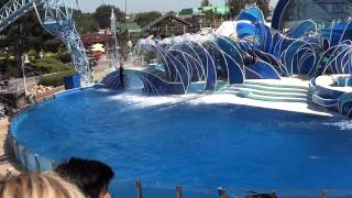 Sea World San Diego  Blue Horizons HD 20110830 [upl. by Seve]