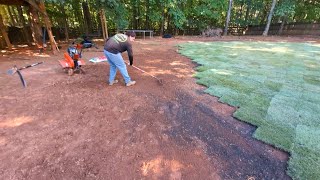 How to install Zeon Zoysia Sod and Landscape Drainage Solution By Brooks Landscaping [upl. by Ahsenod]