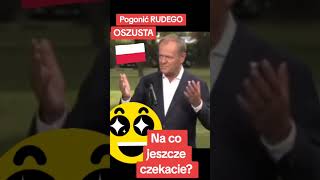 Pogonić Rudego polityka [upl. by Serilda]