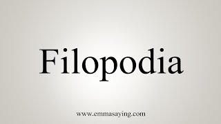 How To Say Filopodia [upl. by Rebekah]