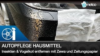 Autopflege Hausmittel Insekten und Vogelkot entfernen mit Zewa Küchenrolle und Zeitungspapier [upl. by Elocel310]