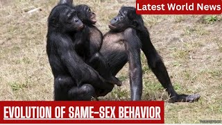 Sociality and SameSex Behavior in Mammals An Evolutionary Perspective [upl. by Negaet311]