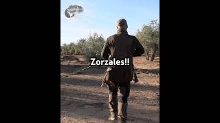 LLegan los Zorzales [upl. by Donegan128]