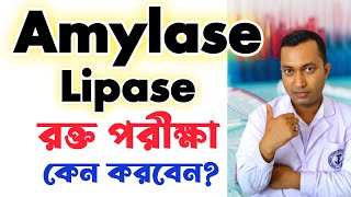 Amylase Lipase Blood test  Amylase Lipase পরীক্ষা কেন করবেন  Amylase Lipase normal range [upl. by Anirba191]