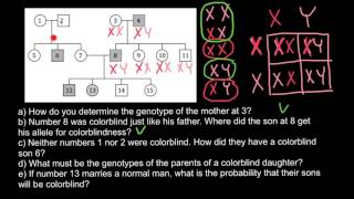 How to read a pedigree like a pro [upl. by Inej]