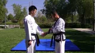 Hapkido Knife Arm [upl. by Manara]