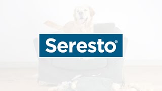 Stop the Suck with the 1 VetRecommended Seresto® Flea and Tick Collars 15s [upl. by Ybreh]