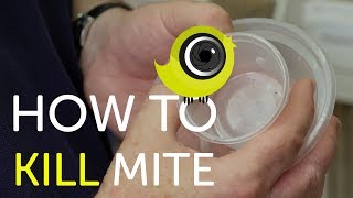 How To Kill Mite  The Canary Room Top Tips [upl. by Nemra]