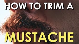 How to Trim Your Mustache  The Art of Manliness [upl. by Annaet174]