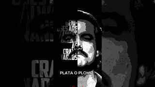 Plata o Plomo  Pablo Escobar trending trendingshorts youtubeshorts viralshorts viralvideo fy [upl. by Batory]