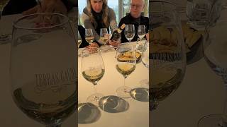 VIP Albariño winery visit amp tasting tour  Terras Gauda wine tours riasbaxias galicia spain [upl. by Hgielime401]