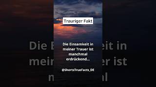 😔 Trauriger Fakt Die Einsamkeit in meiner Trauer  shorts facts [upl. by Rakso]