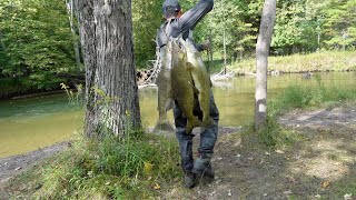 Pescando Salmones En Un Paraíso De Río  Quebraron Un Carrete [upl. by Enelyak855]