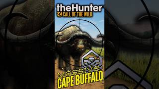 MASSIVE Cape Buffalo could be my first Diamond buffalo Call of the wild thehuntercallofthewild [upl. by Sibylla956]