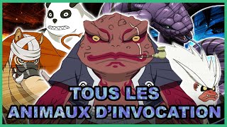 Toutes les Invocations et leurs Pouvoirs Expliquées  Naruto [upl. by Analahs340]