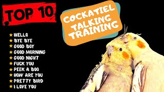 Top 10 Cockatiel Talking Traning Teach Your Cockatiel to Talk Cockatiel Talking Practice [upl. by Karlis]