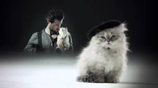 Sauza Tequila  Fireman and Kitten Amazingness HD [upl. by Kobylak]