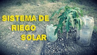 Como Hacer un Sistema de Riego Solar – Riego a Goteo [upl. by Barren405]