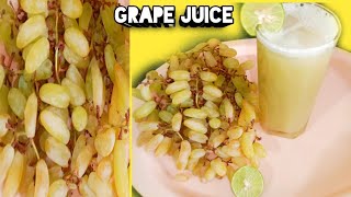 घरीच बनवा द्राक्षाचा थंडगार ज्यूस Grape juicesolapur recipe in marathi [upl. by Sugihara]