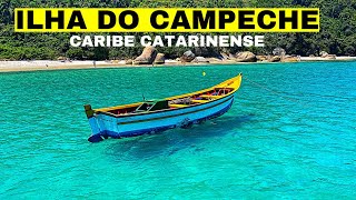 ILHA DO CAMPACHE  como ir o que fazer e tudo que você precisa saber [upl. by Ymor763]