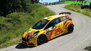 51° Rally Elba 2018 Show Crash and Mistake [upl. by Nilreb]