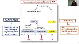 C06 Metabolismo microbiano [upl. by Nnyliram]