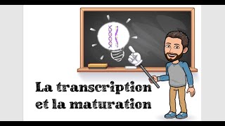 LA TRANSCRIPTION ET LA MATURATION DE LADN  2 1ère Spé SVT [upl. by Tiphani236]