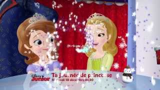 Ta journée de Princesse  Mercredi 18 décembre dès 8h30 sur Disney Junior [upl. by Nannahs933]