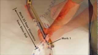 Yale Cordage Double Braid Core Dependent Tuck Eye Splice Video [upl. by Merrill]