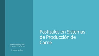 Pastizales en sistemas de producción de carne [upl. by Normac]