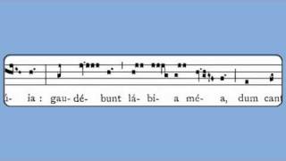 Repleatur Pentecost Ember Friday Introit [upl. by Iver]