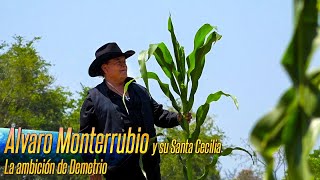 Alvaro Monterrubio y su Santa Cecilia  La ambición de Demetrio [upl. by Yaj702]