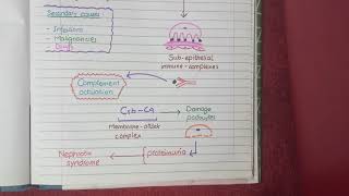 Membranous Nephropathy  Pathology [upl. by Eugatnom]