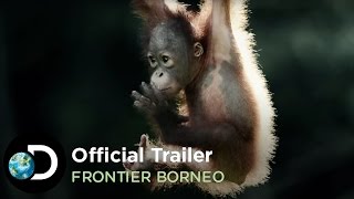 Official Trailer  Frontier Borneo [upl. by Adnorrehs]