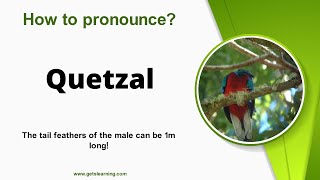 How to pronounce Quetzal in English correctly [upl. by Atinas]