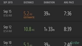 RunScribe Metrics [upl. by Iy]