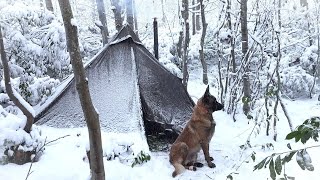 Winter Snowstorm Camping With My Dog  Bushcraft Survival Stove Cooking Nature Movie Asmr [upl. by Sheree]