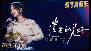 【纯享】张韶涵《遗失的美好》 光线交汇陷入回忆漩涡，追梦初心依旧闪烁  声生不息宝岛季 EP1 Infinity and Beyond 2023  MangoTV [upl. by Cariotta544]