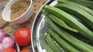 Vendakkai Sambar In Tamil  Vendakkai Kulambu Tamil Kitchen Recipes in my village samayal kurippu [upl. by Lacim]