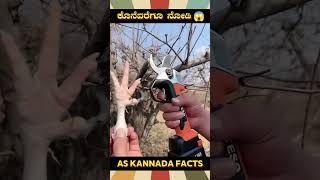 Sharpest Electric Cutter Fact  kannada facts karnataka amazing youtubeshorts trendingshorts [upl. by Ettevram]