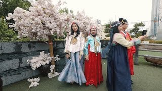 JEBAKAN TURIS DI KOREA VLOG KOREA 2 [upl. by Epillihp229]