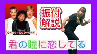 【ダンス振付解説】君の瞳に恋してるボーイズ・タウン・ギャング ※お手本にした動画は概要欄 [upl. by Winsor]