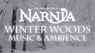 Chronicles of Narnia  Winter Woods Music amp Ambience  Relaxing Music with Sounds of Winter [upl. by Enomrej102]