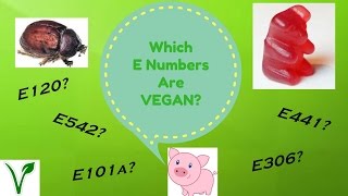 Which E Numbers Are VEGAN [upl. by Cita]