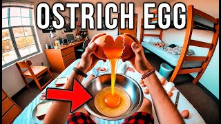 Cooking an Ostrich Egg for breakfast in my dorm room [upl. by Subir]