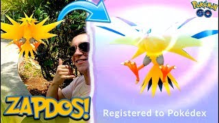 CATCHING NEW LEGENDARY ZAPDOS IN POKÉMON GO TEAM INSTINCT YOUR LEGENDARY BIRD IS LIVE [upl. by Benni]