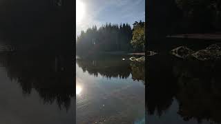 Pourvoirie canadienne ou lac de correze fypyoutube fishing pecheur foryou lake perche brochet [upl. by Madson638]