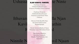 Njan Kanavil Kandoru 🙌 lyrics malayalam dileep [upl. by Emlin62]